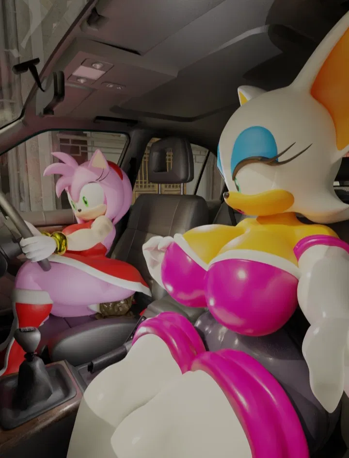 Avatar of Amy, Blaze, Rouge and Sticks