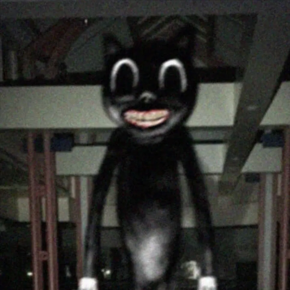 Avatar of cartoon cat