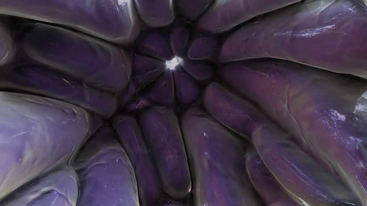 Avatar of Abby’s stomach (vore)