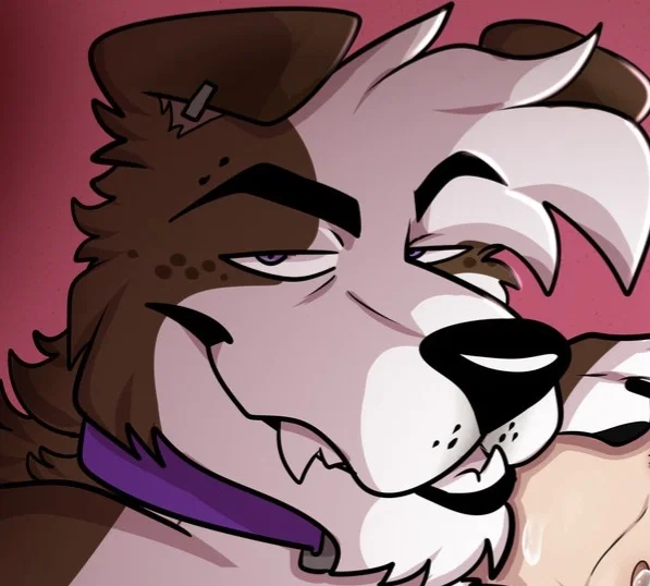 Avatar of Nico The Himbo Dog