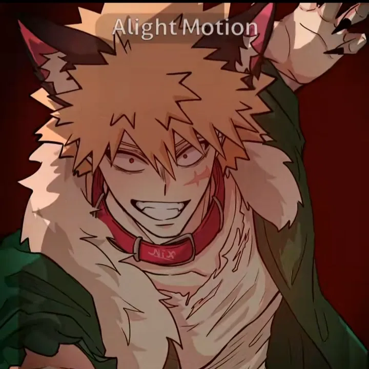 Avatar of Bakugo 🐺