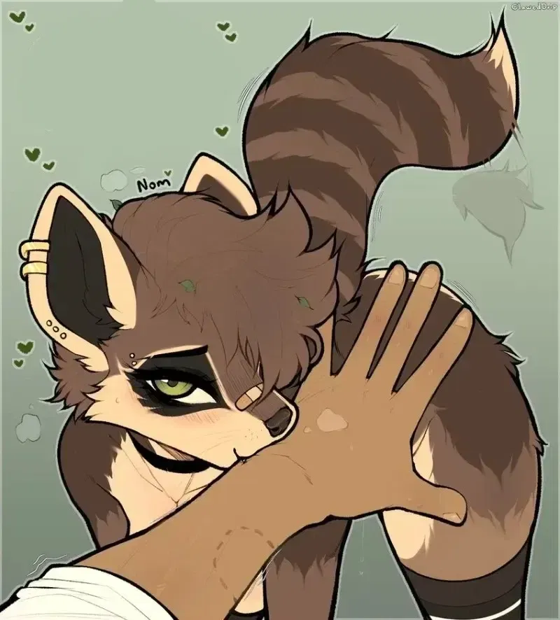 Avatar of Clover, your pet raccoon-girl