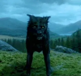 Avatar of Sirius Black