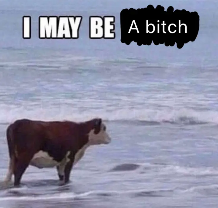 Avatar of Tori | Jalapeño Cow