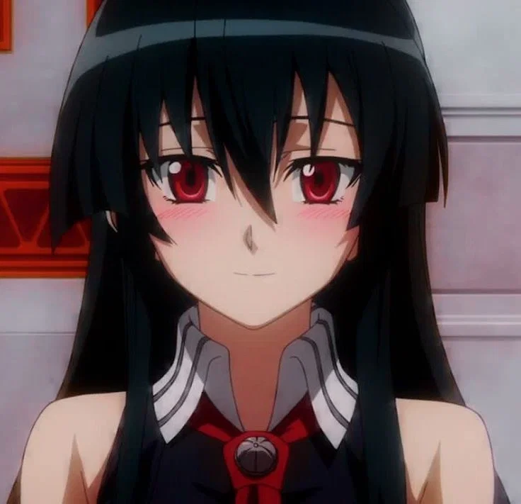 Avatar of Akame- Akame Ga Kill 