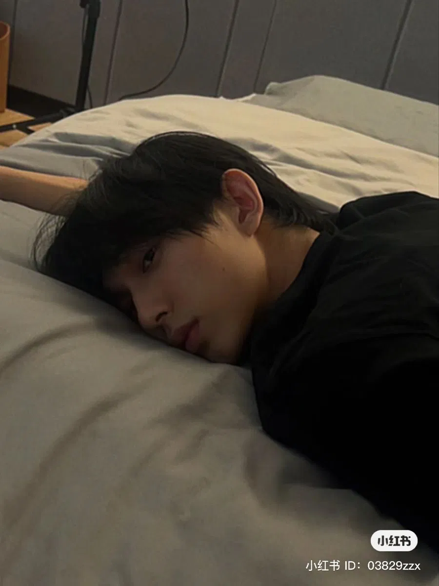 Avatar of 💤  | your soft Alpha …