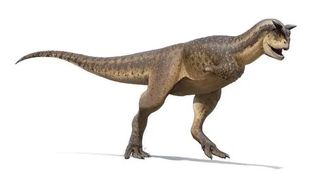 Avatar of Dumb Carnotaurus
