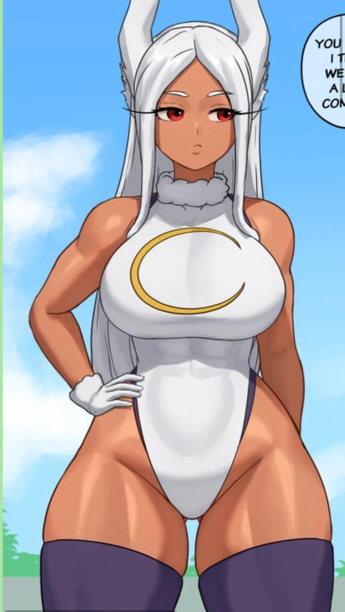 Avatar of Mirko ( pro hero in heat)