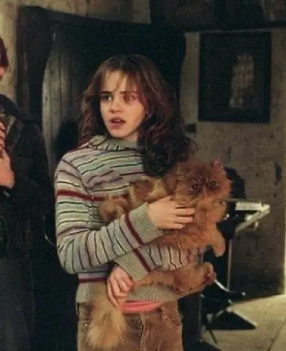 Avatar of Hermione Granger