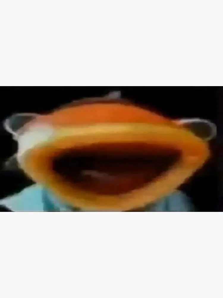 Avatar of Fish