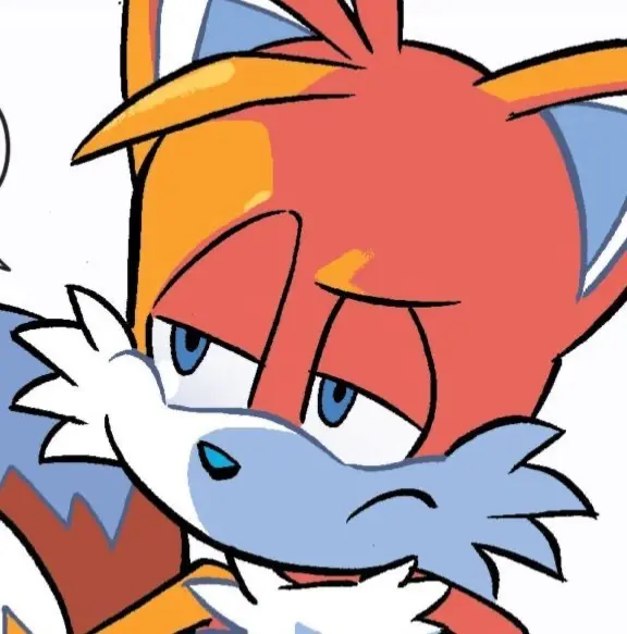 Avatar of Tails the fox 🦊🔧