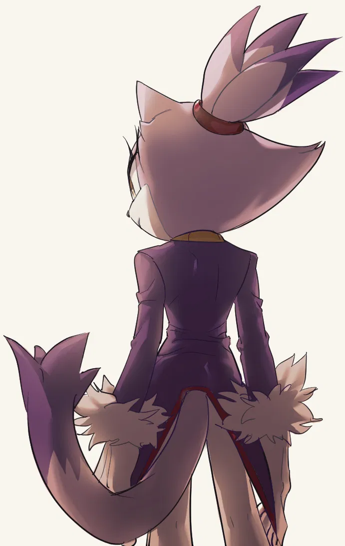 Avatar of Blaze The Cat