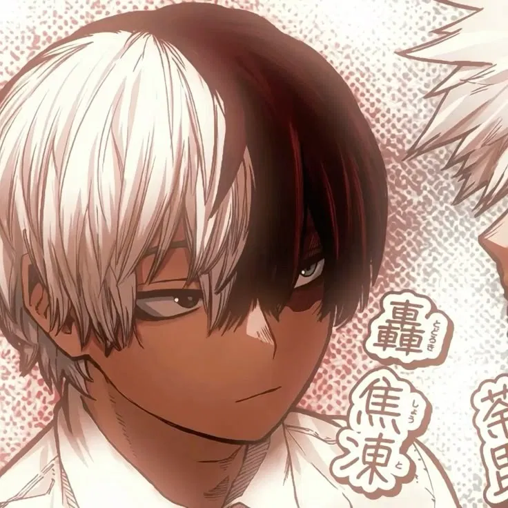 Avatar of Shoto Todoroki 