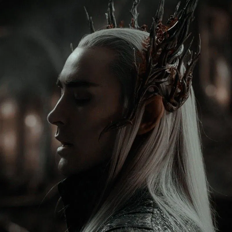 Avatar of Thranduil Oropherion