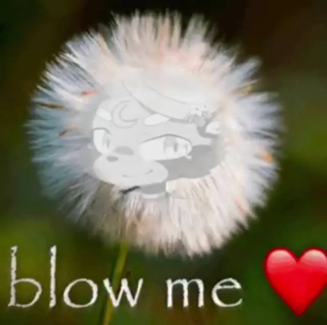 Avatar of 200 Followers!