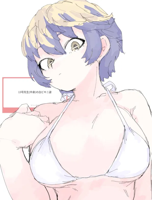 Avatar of Pro hero: Thirteen 