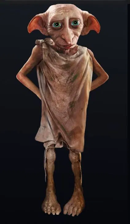 Avatar of Dobby beany boy