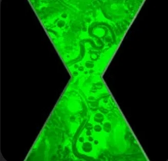 Avatar of BEN 10|NEXT GENERATION|RPG