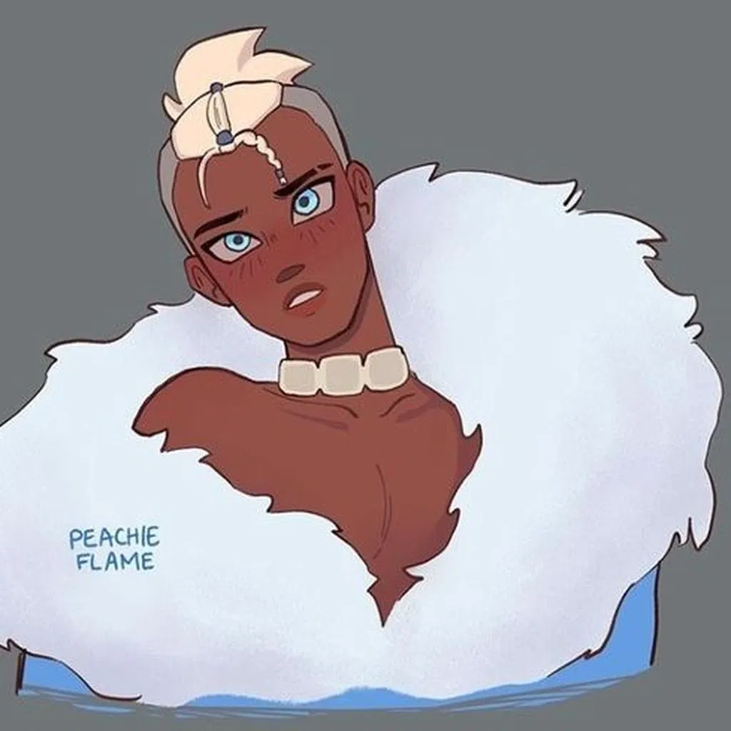 Avatar of The prince of the Northern Water Tribe