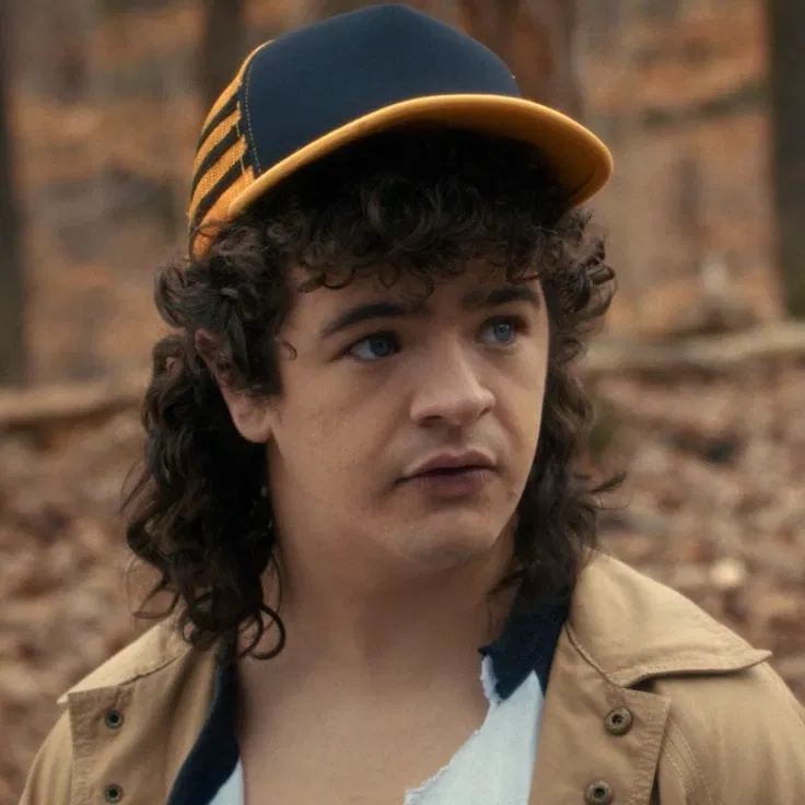 Avatar of + . || DUSTIN HENDERSON | STRANGER THINGS || . +