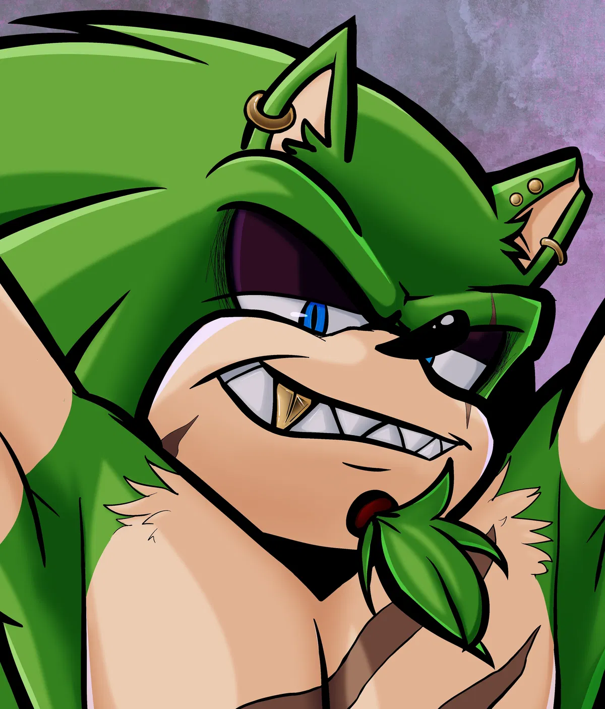 Avatar of [Snowstorm] Scourge the Hedgehog