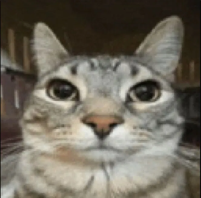 Avatar of A cat