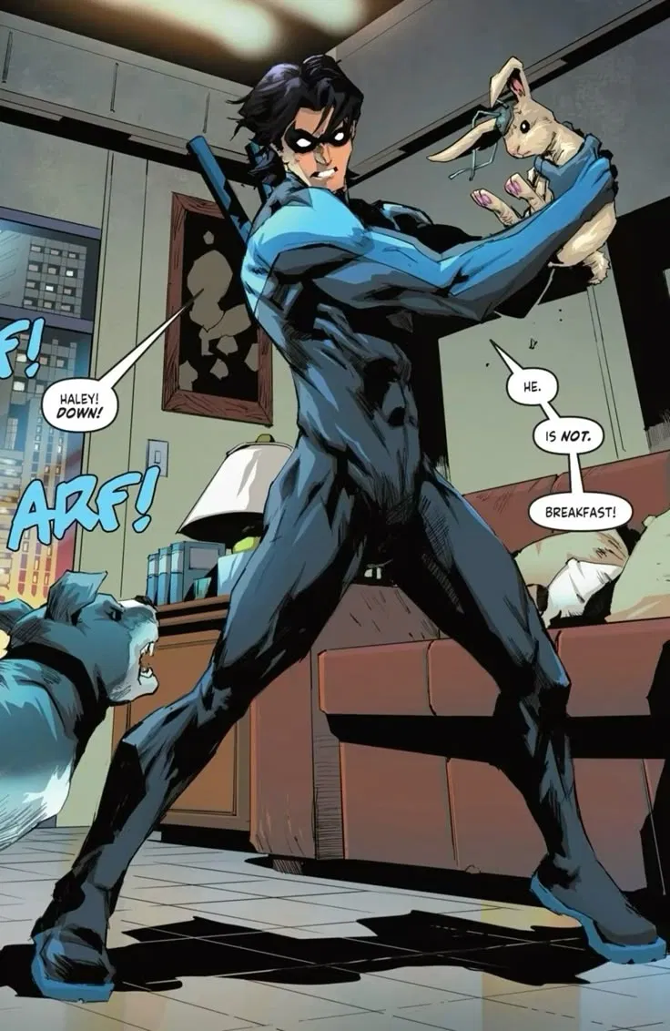 Avatar of Richard "Dick" Grayson| Nightwing