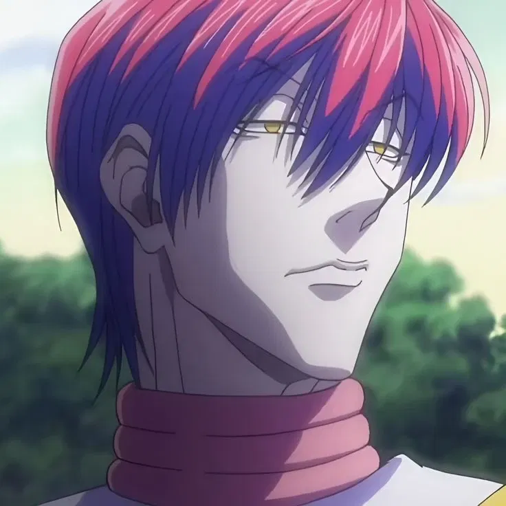 Avatar of Hisoka Morow 