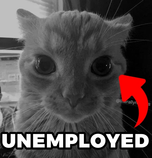 Avatar of Massive Day For The Unemployed