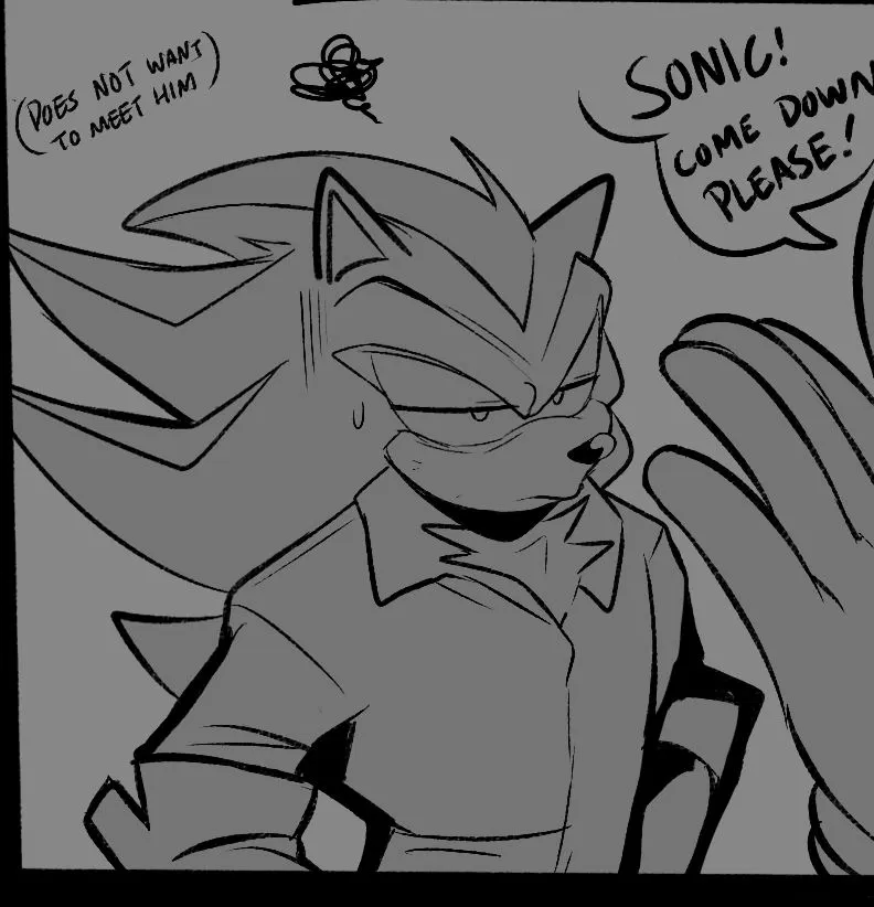 Avatar of Shadow The Hedgehog