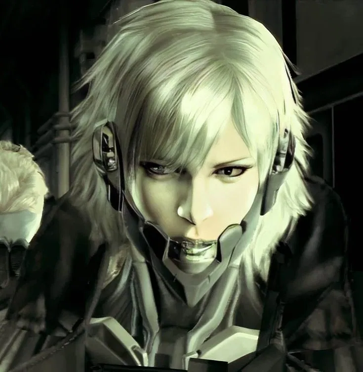 Avatar of Raiden