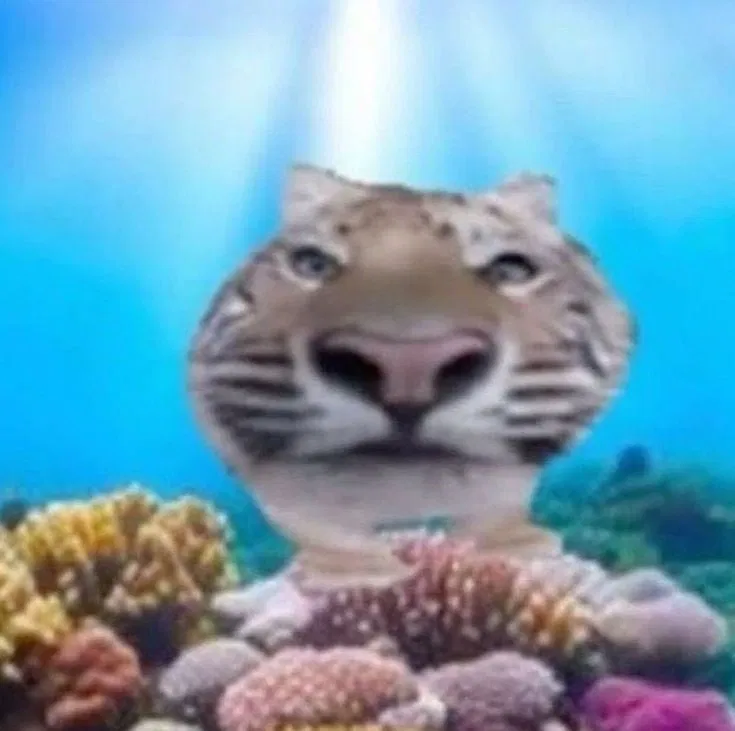 Avatar of Your Mentally ill, best friend