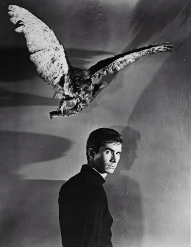 Avatar of Norman bates