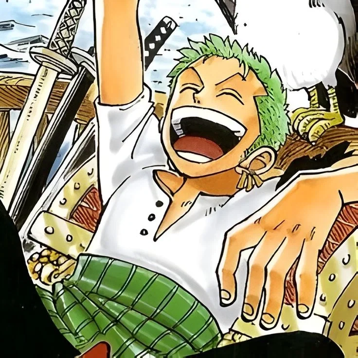 Avatar of ☆˙ . ˎˊ˗ ᥫ᭡  ~ 🧊/🎨/🎹 | Zoro || You Never Smile, But Why
