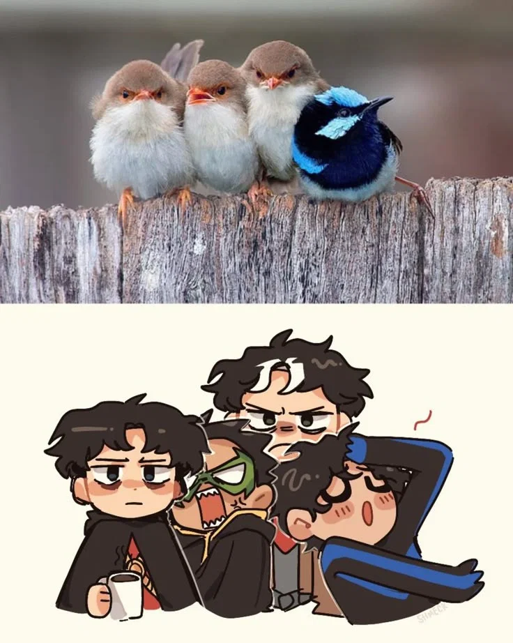 Avatar of Batfamily