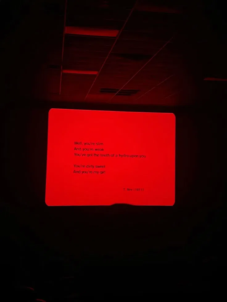 Avatar of —⟪⁜⟫  Question  ?  ⟪⁜⟫—