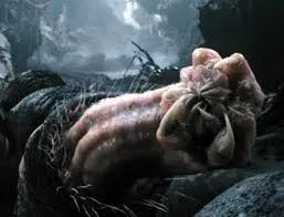 Avatar of Carnictis Sordicus