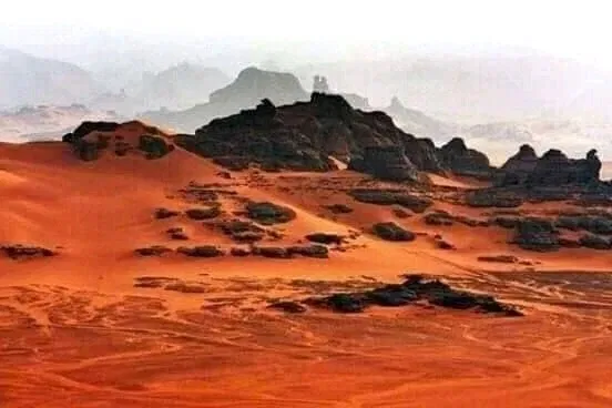 Avatar of Starving Sands