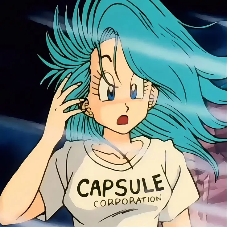 Avatar of Bulma Briefs