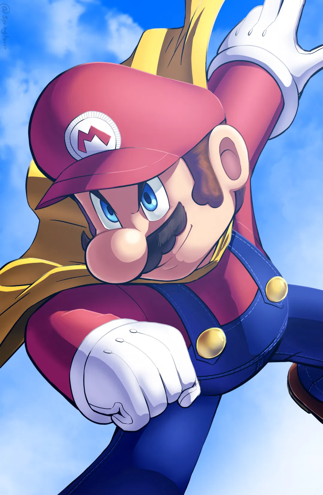 Avatar of Mario Mario - Super Mario