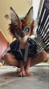 Avatar of fox therian enzo