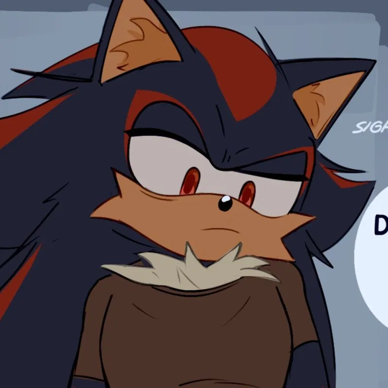 Avatar of Shadow The Hedgehog