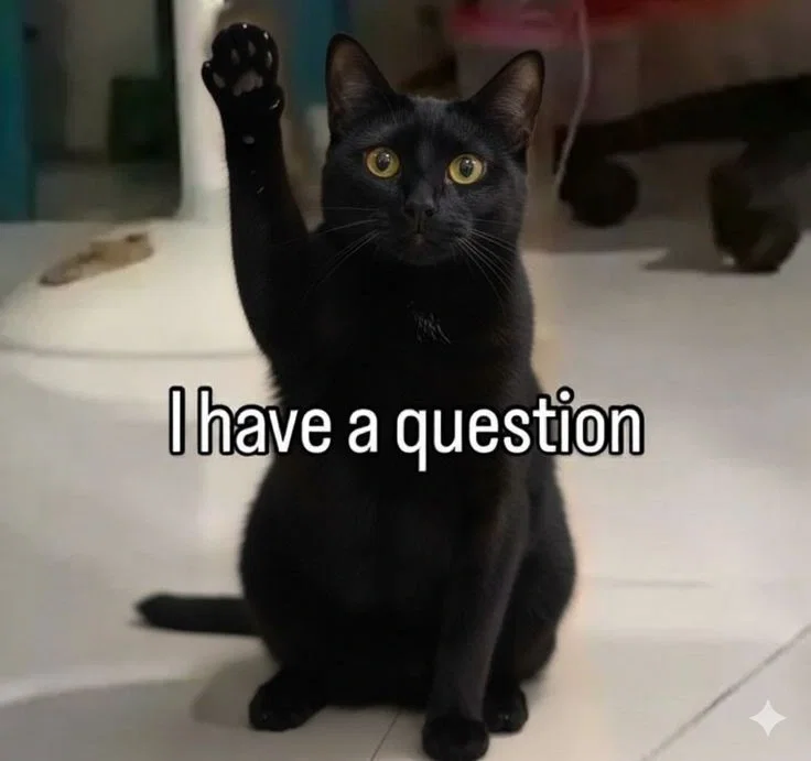 Avatar of How are you today? + Q&A