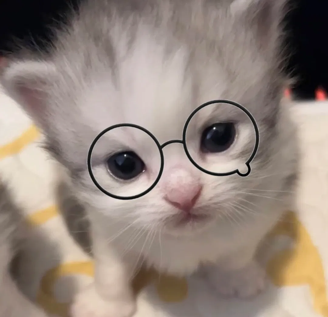Avatar of Important Announcement