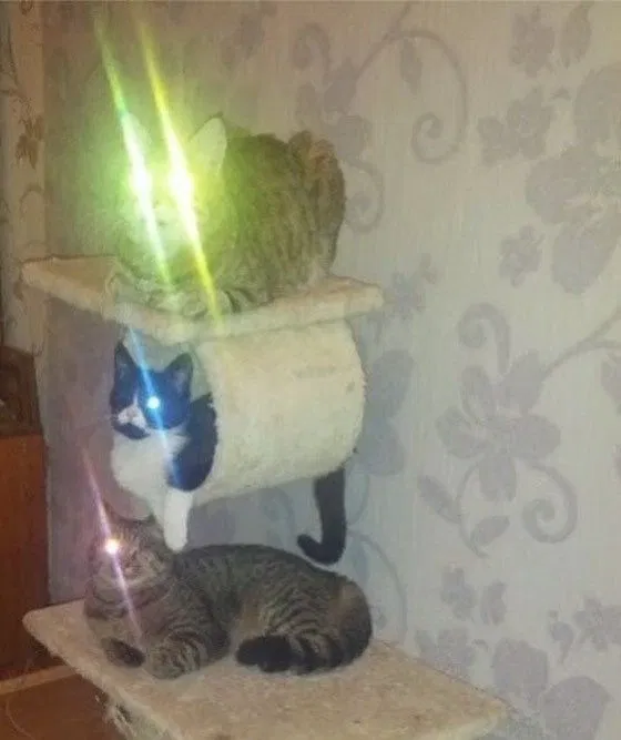 Avatar of Triple security.