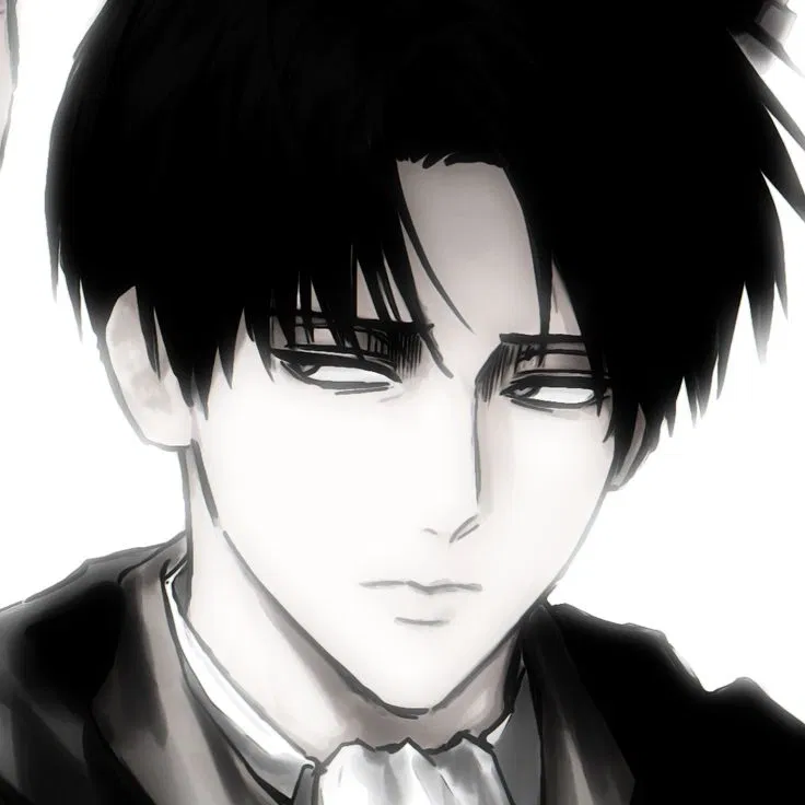Avatar of Levi Ackerman