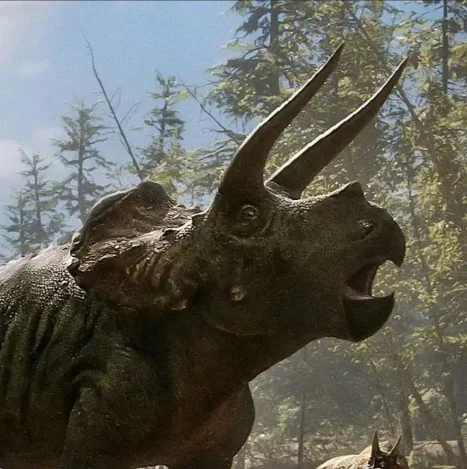 Avatar of Triceratops