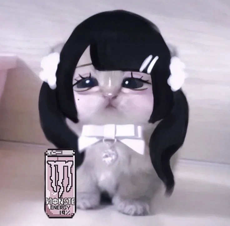 Avatar of 400+ FOLLOWERS COUNT