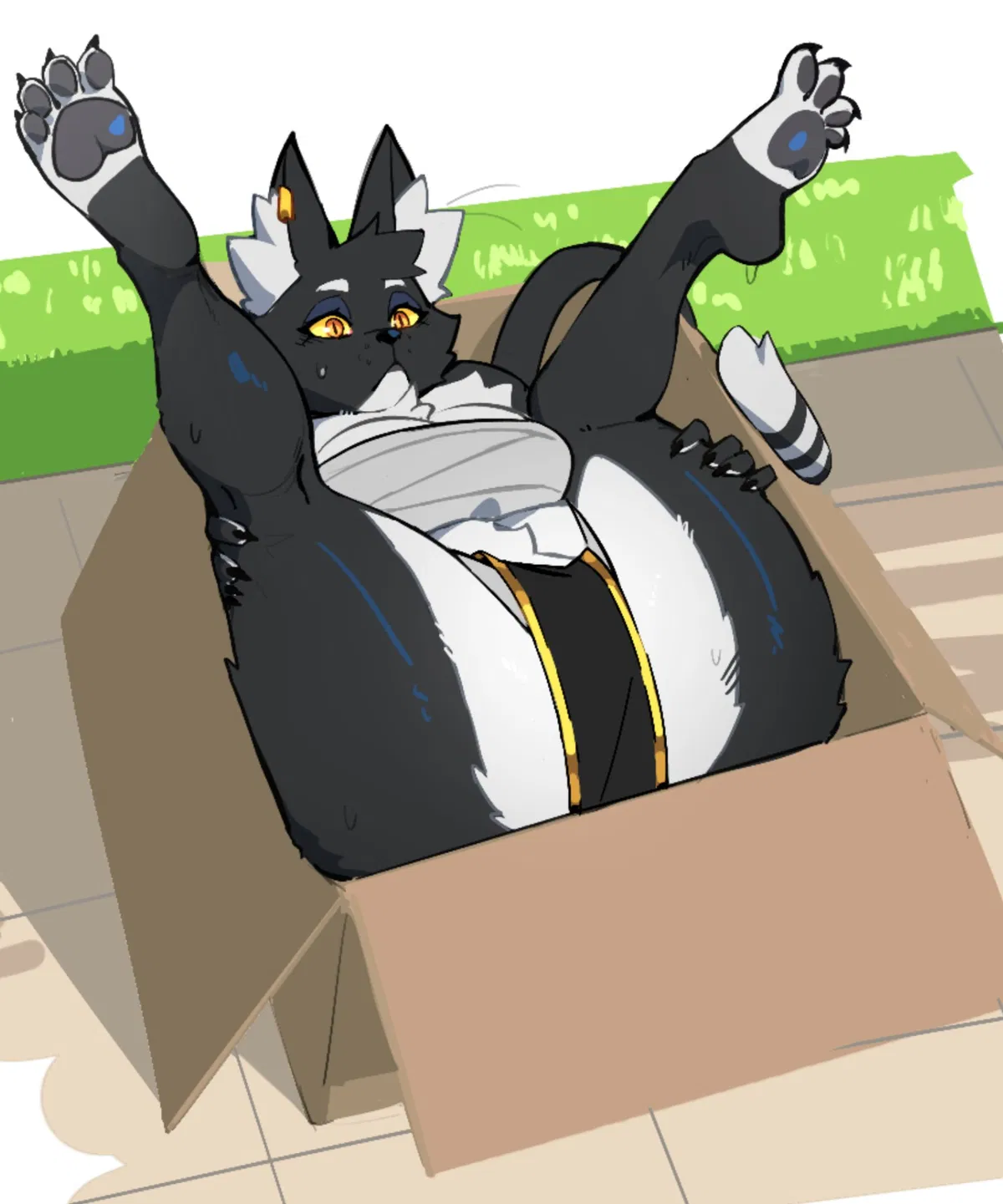 Avatar of Bacardi || Goddess cat on a box