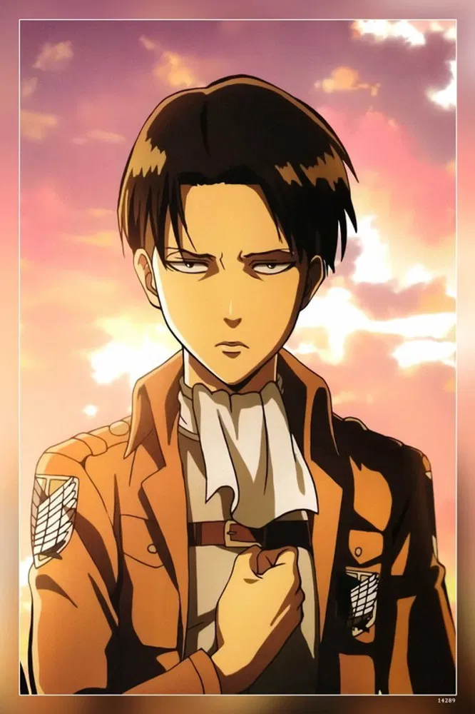 Avatar of Levi Ackerman 
